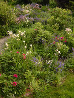 Reiki-Garten